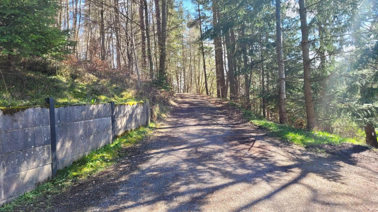 Waldpension Am Koepfchen Kurort Steinbach-Hallenberg Exteriér fotografie